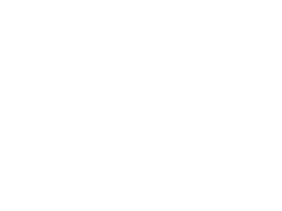 Profileriet