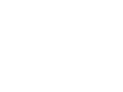 VSK Bandy